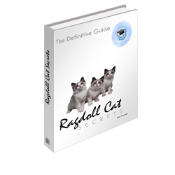Ragdoll Cat Secrets